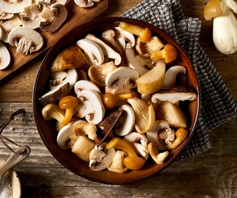 Mélange de champignons des bois (Numéro d’article 05730)